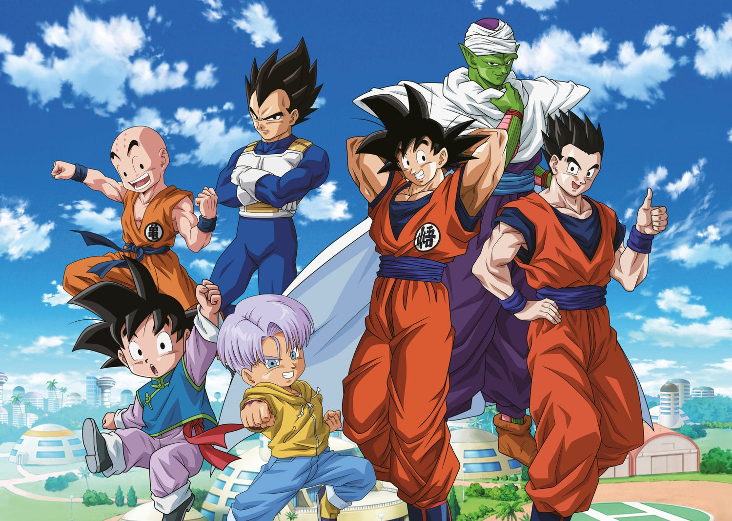 BOX DRAGONBALL (JP)